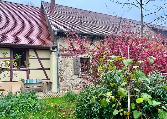 Cocooning Alsacien Apartamento